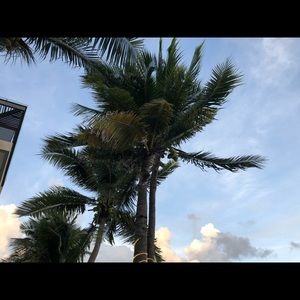 Meet your Posher, Sam